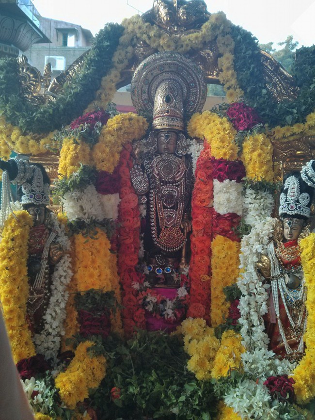 Arumbakkam-Sri-Sathya-Varadharaja-Perumal_01