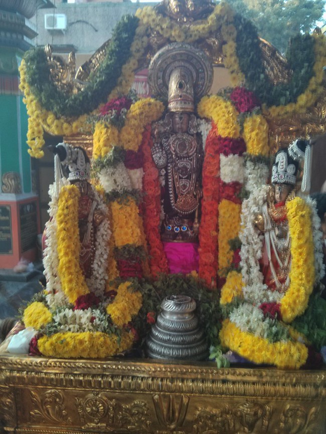 Arumbakkam-Sri-Sathya-Varadharaja-Perumal_05