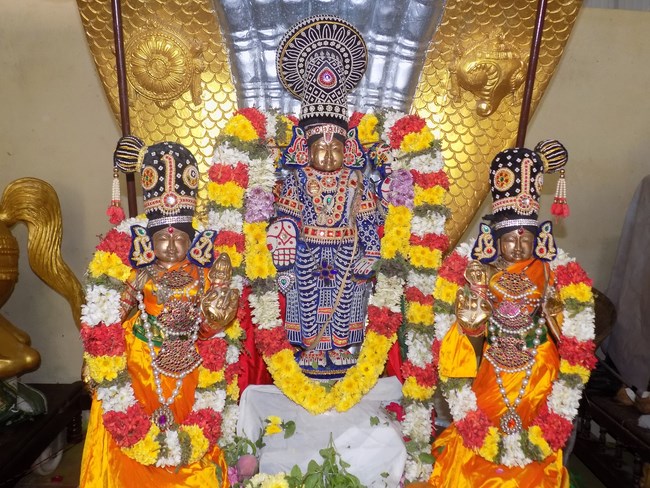 Keelkatalai Sri Srinivasa Perumal Temple Manmadha Varusha Vaikunta Ekadasi 4