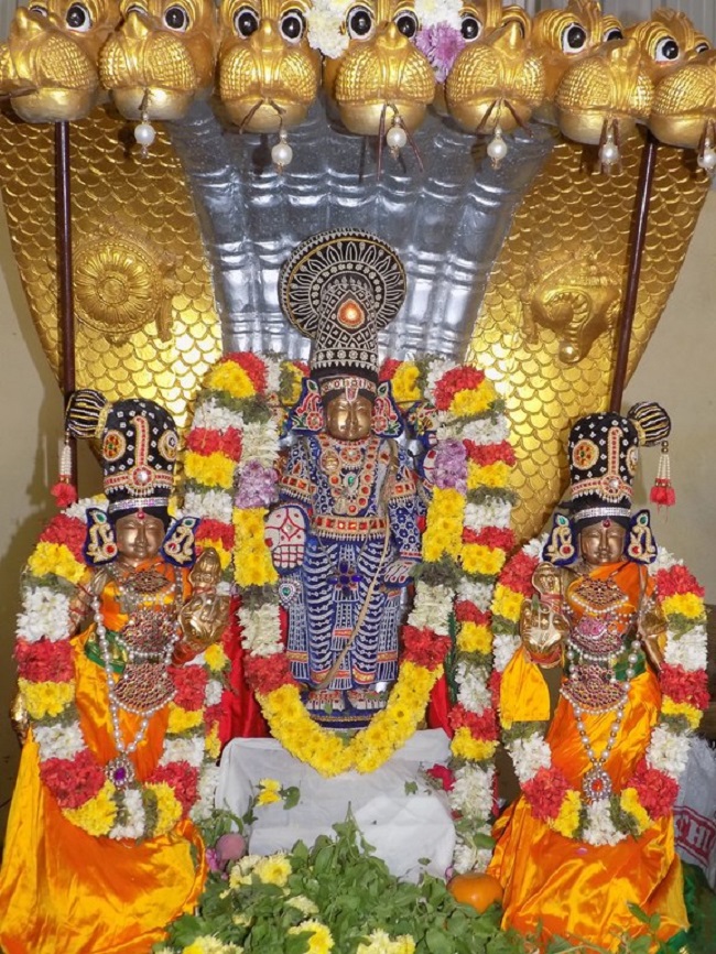 Keelkatalai Sri Srinivasa Perumal Temple Manmadha Varusha Vaikunta Ekadasi 6