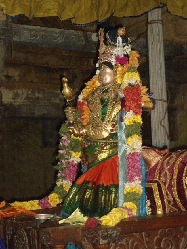 Mannargudi-Sri-Rajagopalaswamy_04