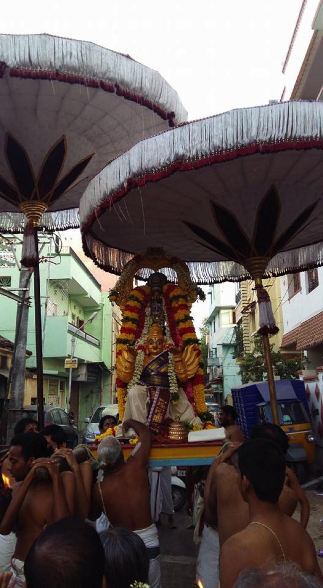 Mylapore-SVDD-Srinivasa-Perumal-Temple_00