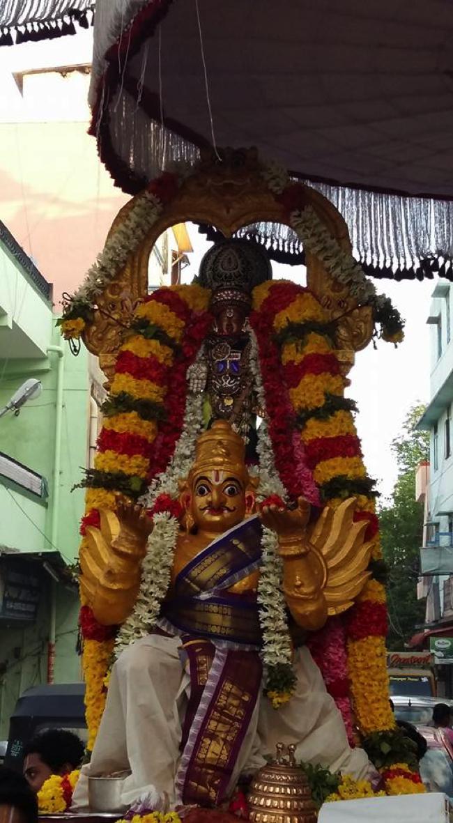 Mylapore-SVDD-Srinivasa-Perumal-Temple_03