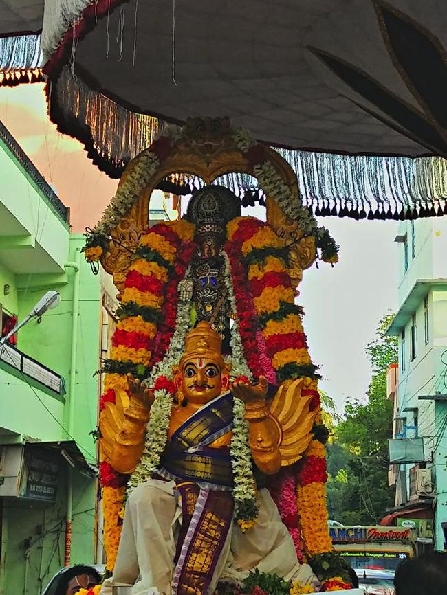 Mylapore-SVDD-Srinivasa-Perumal-Temple_05