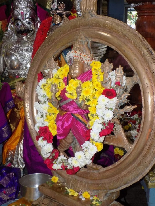 Nanganallur Sri Lakshmi Narasimhar Navaneetha Krishnan Temple Manmadha Varusha Vaikunta Ekadasi4