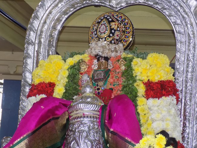 Nanganallur Sri Lakshmi Narasimhar Navaneetha Krishnan Temple Manmadha Varusha Vaikunta Ekadasi5