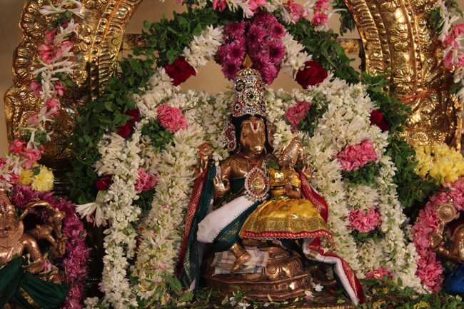 Pondicherry-Sri-Lakshmi-Hayagreeva-Perumal00