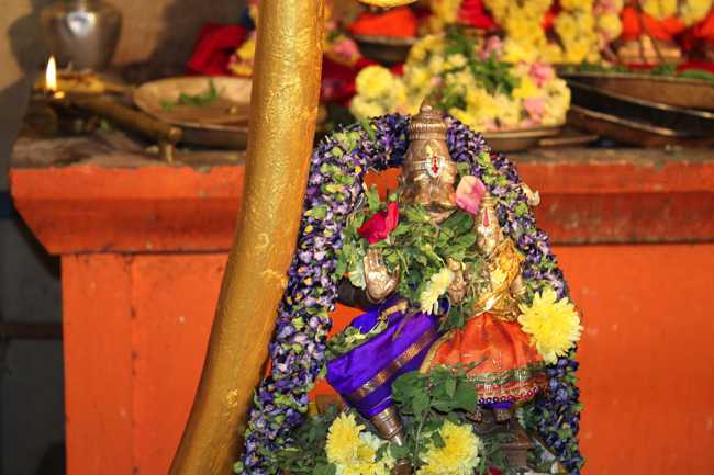 Pondicherry-Sri-Lakshmi-Hayagreeva-Perumal07
