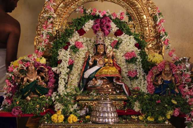 Pondicherry-Sri-Lakshmi-Hayagreeva-Perumal14