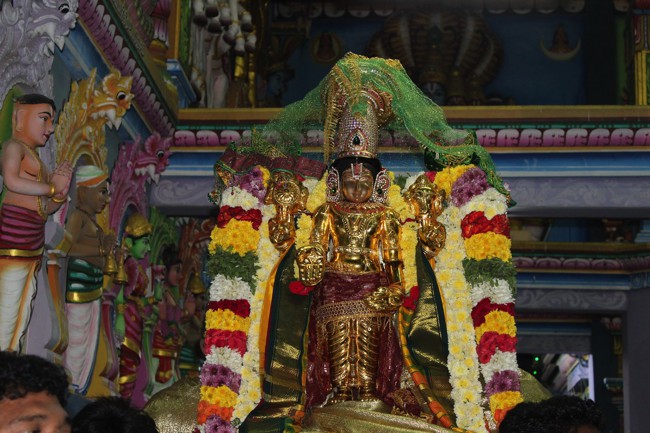 Pondicherry-Sri-Srinivasa-Perumal_15