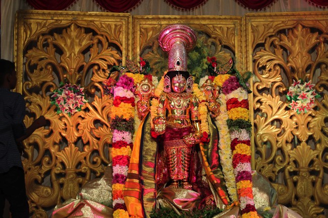 Pondicherry-Sri-Srinivasa-Perumal_17