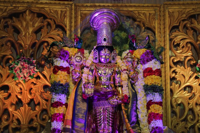 Pondicherry-Sri-Srinivasa-Perumal_19
