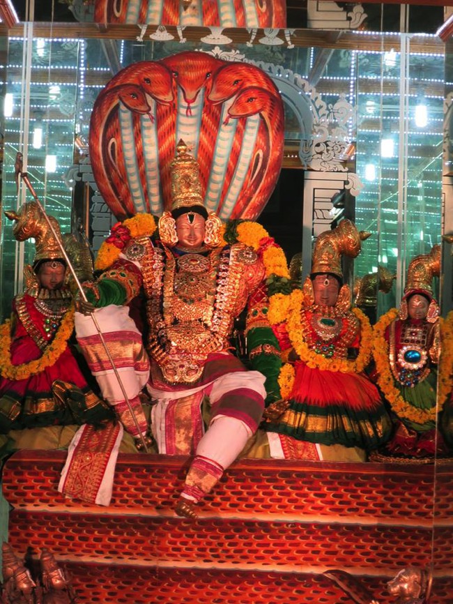 Sirupuliyur-Sri-Krupasamudra-Perumal_02