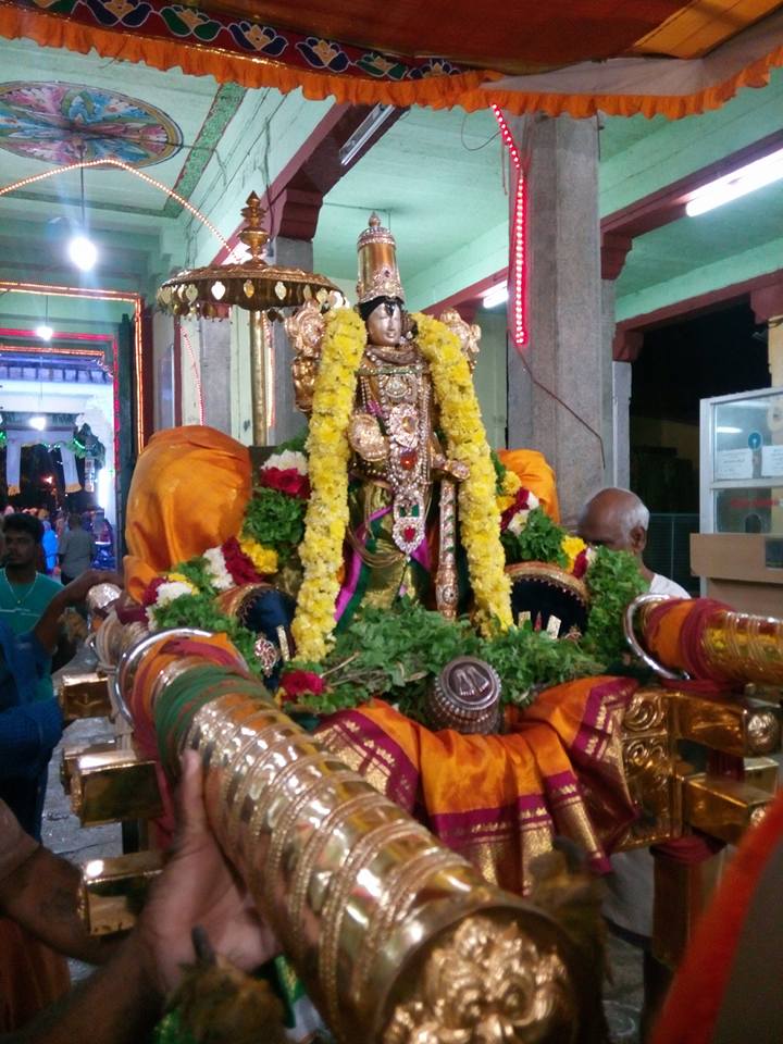 ThiruNagai-Sri-Soundararaja-Perumal4