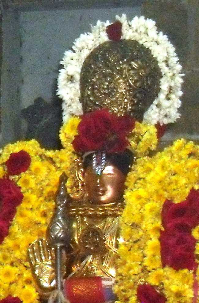 Thirukannamangai-Sri-Bhakthavatsala-Perumal08