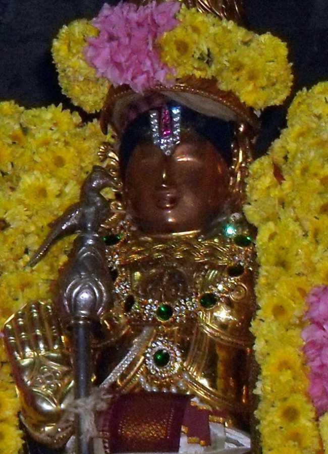 Thirukannamangai-Sri-Bhakthavatsala-Perumal_05