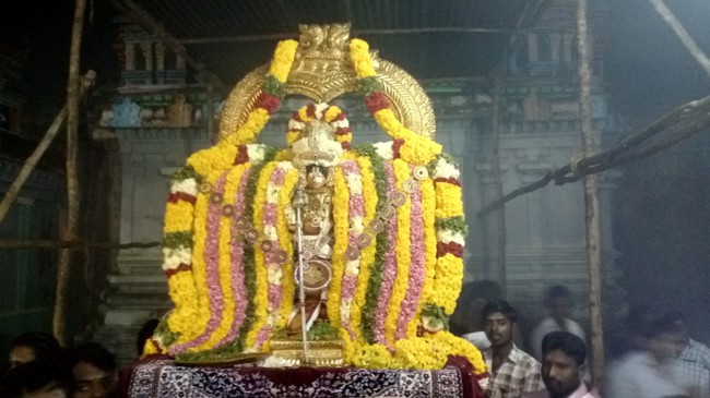 Thirukannamangai-Sri-Bhakthavatsala-Perumal_09