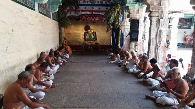 Thirukoodal-Sri-Vyuga-Sundararajan14