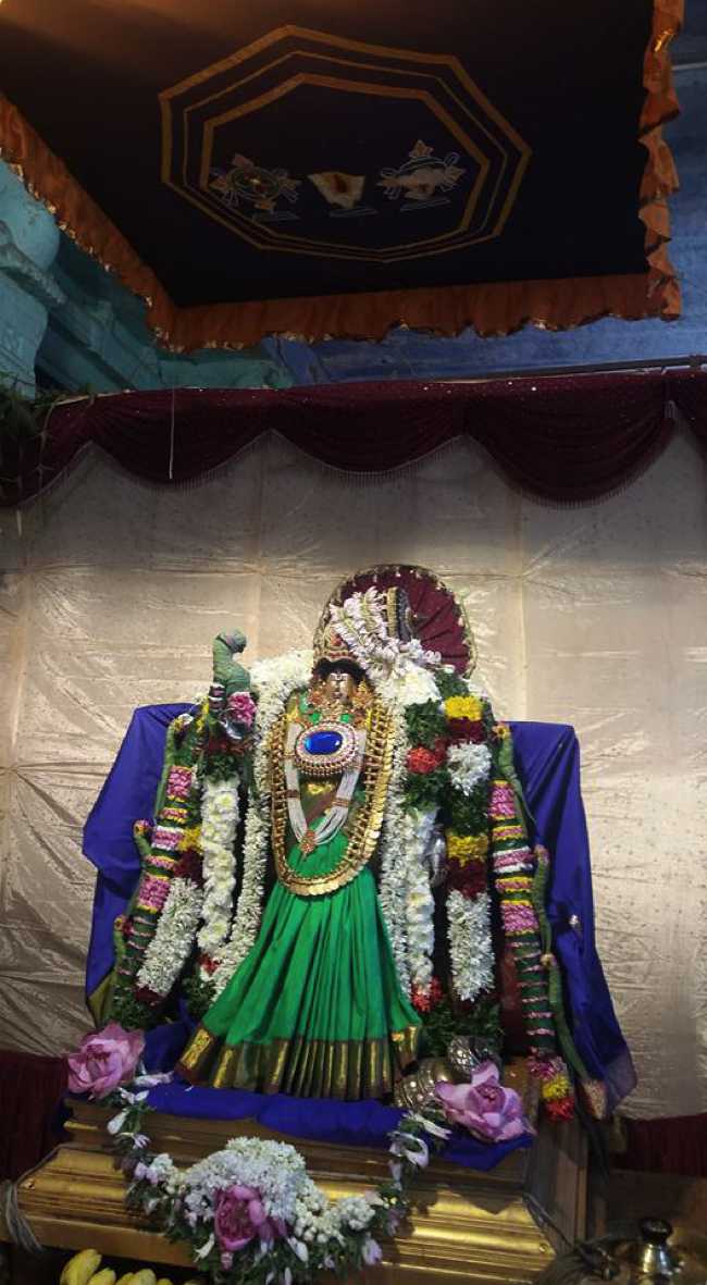 Thirukoodal-Sri-Vyuga-Sundararajan17