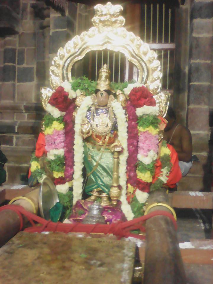 Thirukudanthai-Sri-Komalavalli-Thayar3
