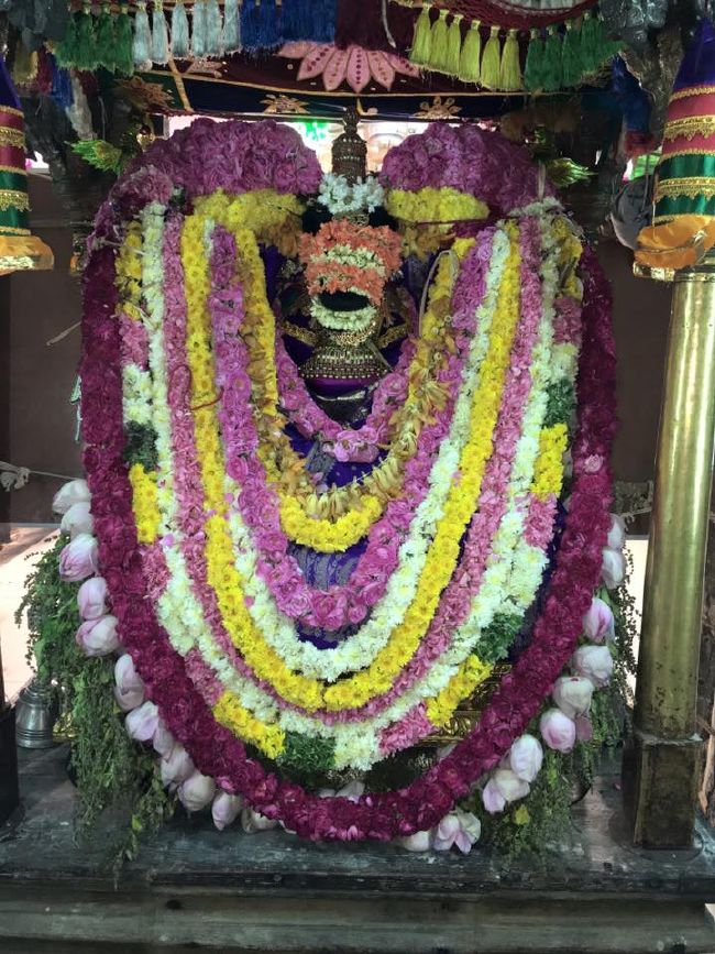 Thiruvahindrapuram Sri Devanathan Perumal temple Pagalpath Utsavam day 7- 2015-02.jpg