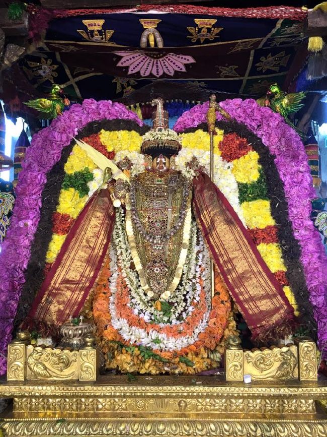 Thiruvahindrapuram Sri Devanathan Perumal temple Pagalpath Utsavam day 7- 2015-06.jpg