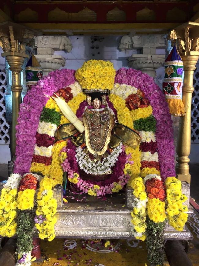 Thiruvahindrapuram Sri Devanathan Perumal temple Pagalpath Utsavam day 7- 2015-07.jpg