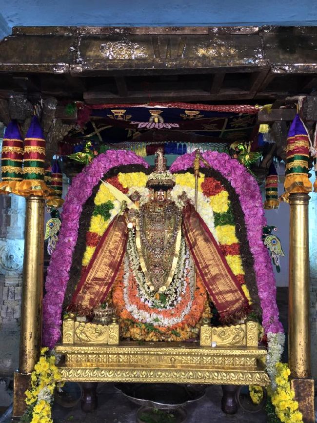 Thiruvahindrapuram Sri Devanathan Perumal temple Pagalpath Utsavam day 7- 2015-08.jpg