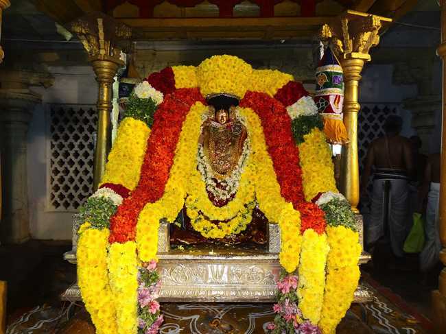 Thiruvahindrapuram-Sri-Devanathan-Perumal00