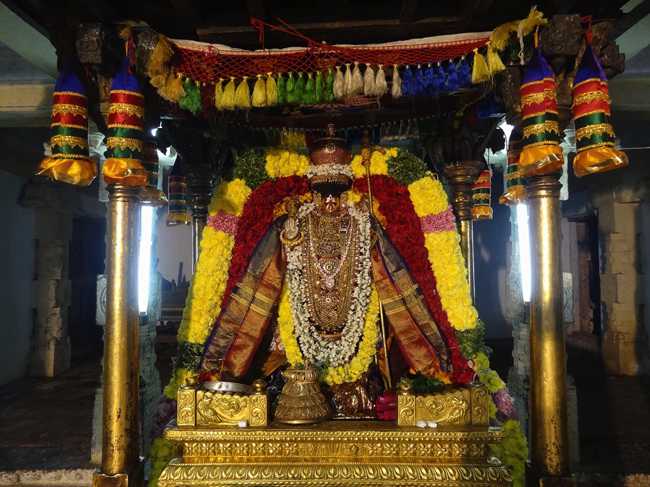Thiruvahindrapuram-Sri-Devanathan-Perumal04