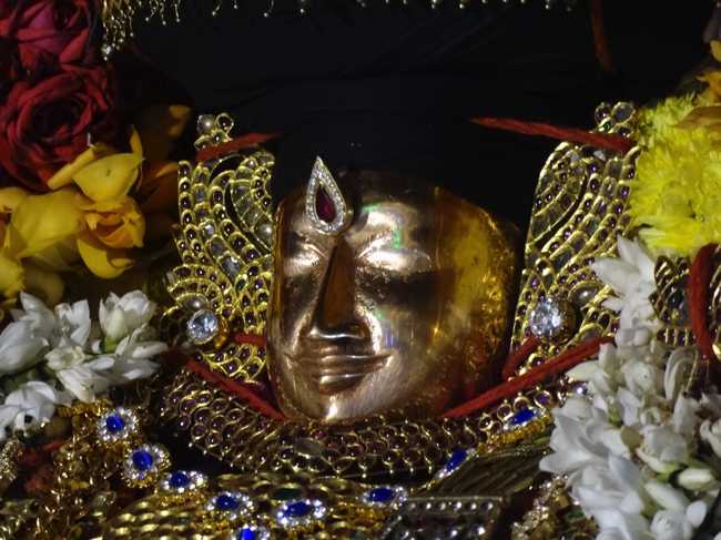Thiruvahindrapuram-Sri-Devanathan-Perumal06