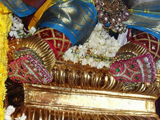 Thiruvahindrapuram-Sri-Devanathan-Perumal19