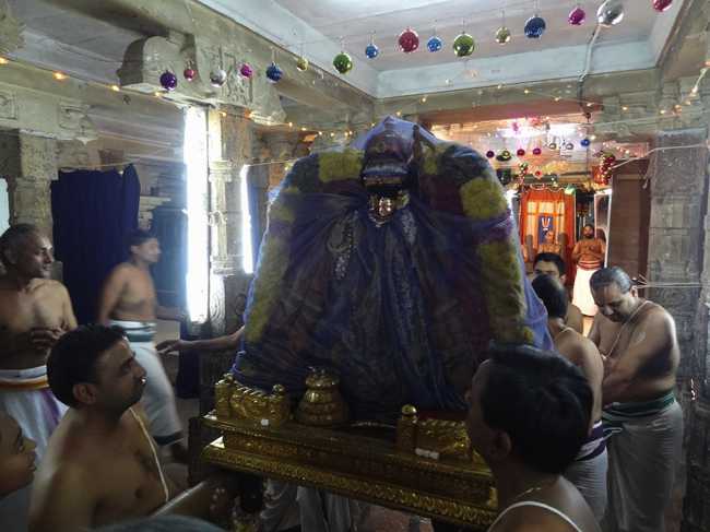 Thiruvahindrapuram-Sri-Devanathan-Perumal20