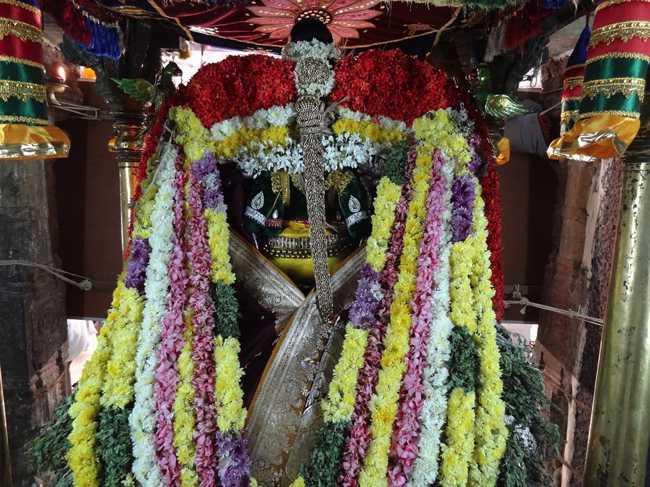 Thiruvahindrapuram-Sri-Devanathan-Perumal21