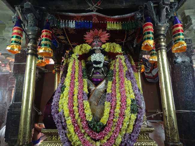 Thiruvahindrapuram-Sri-Devanathan-Perumal25