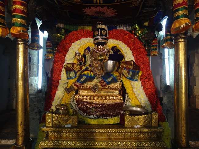 Thiruvahindrapuram-Sri-Devanathan-Perumal26