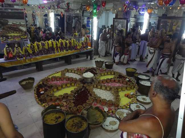Thiruvahindrapuram-Sri-Devanathan-Perumal35