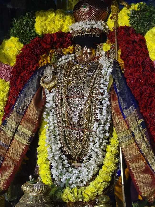 Thiruvahindrapuram-Sri-Devanathan-Perumal36