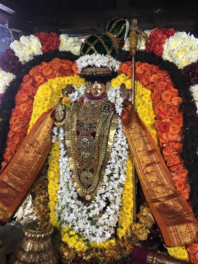 Thiruvahindrapuram-Sri-Devanathan-Perumal_04