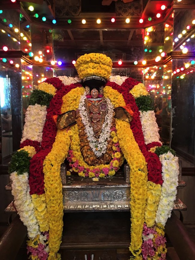 Thiruvahindrapuram-Sri-Devanathan-Perumal_05