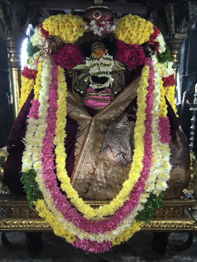 Thiruvahindrapuram-Sri-Devanathan-Perumal_07
