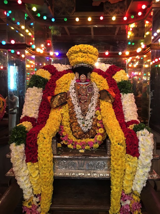 Thiruvahindrapuram-Sri-Devanathan-Perumal_08