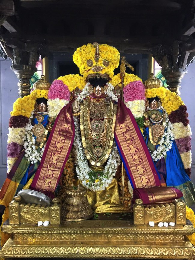 Thiruvahindrapuram-Sri-Devanathan-Perumal_09