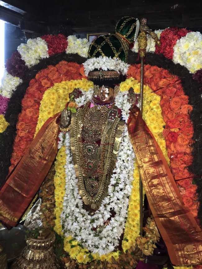 Thiruvahindrapuram-Sri-Devanathan-Perumal_10