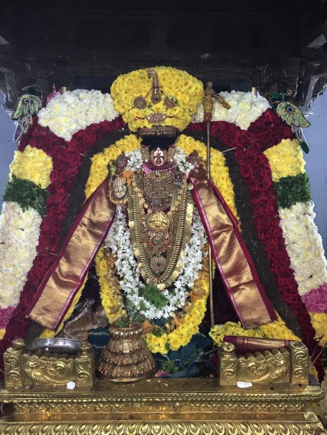 Thiruvahindrapuram-Sri-Devanathan-Perumal_11