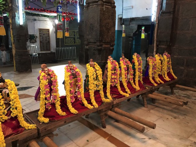 Thiruvahindrapuram-Sri-Devanathan-Perumal_14