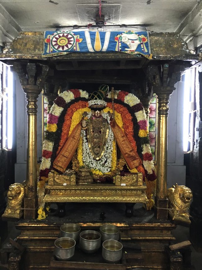 Thiruvahindrapuram-Sri-Devanathan-Perumal_15