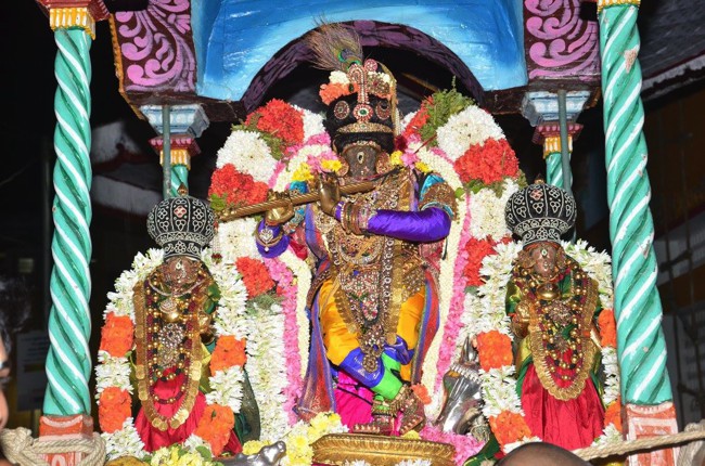 Thiruvallikeni-Sri-Parthasarathy-Swamy_11