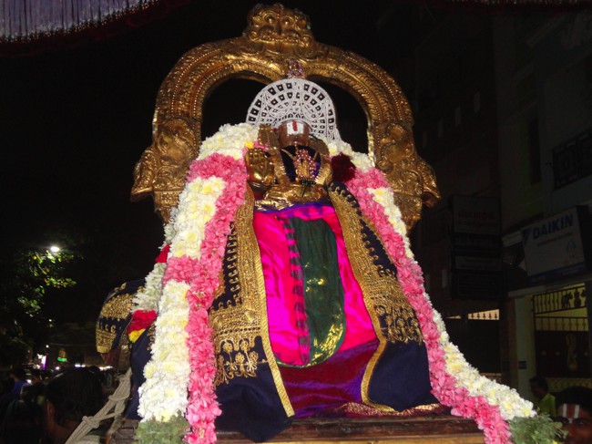 Thiruvallikeni-Sri-Parthasarathy-Swamy_13