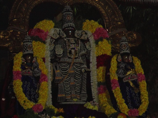 Thiruvallikeni-Sri-Parthasarathy-Swamy_16